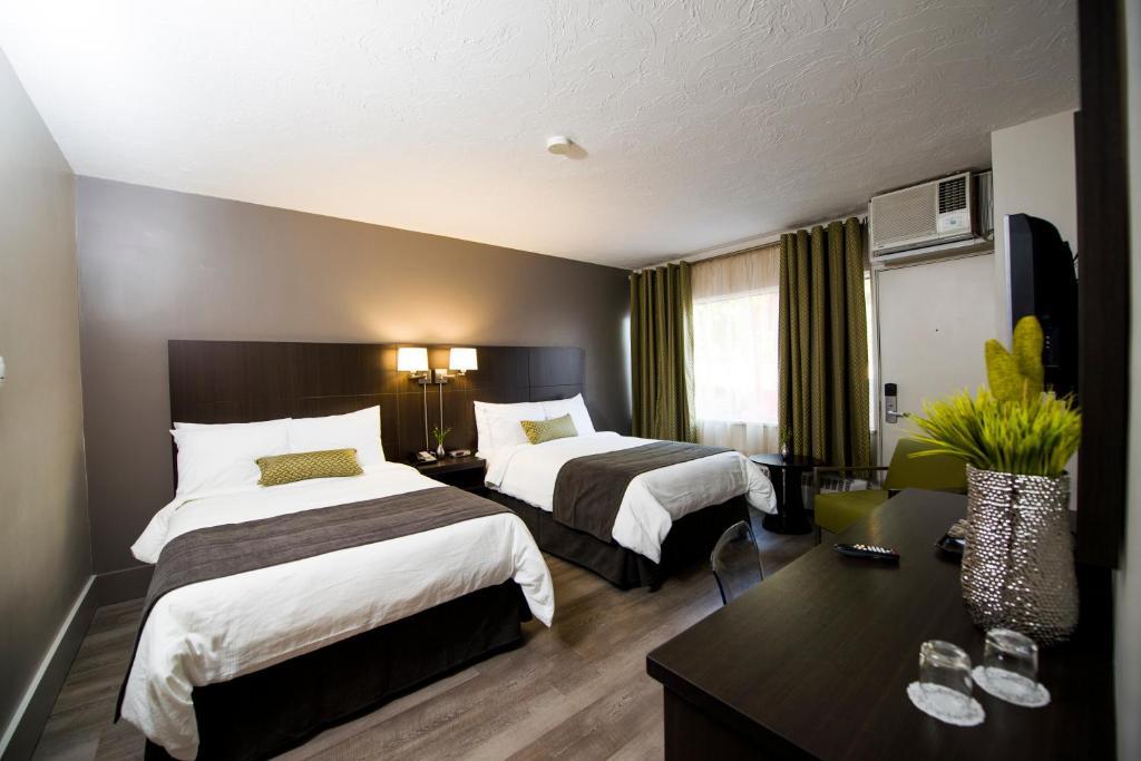 V Hotel & Suites Moncton Quarto foto